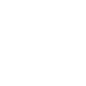 Accelerated Assault (Enhanced) icon1.png