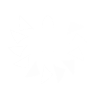 Light arms loader icon1.png