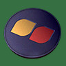 Fwc token icon1.jpg