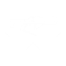 Unflinching fusion rifle aim icon1.png