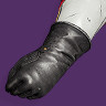 Wild Anthem Gloves icon1.jpg