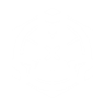 Bullseye bolster icon1.png