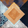 Chromatophore icon1.jpg