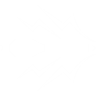 Charged bolts icon1.png