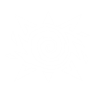 Bewildering burst icon1.png