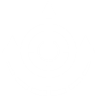 Delicate tuning icon1.png
