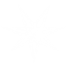 Eyes up, guardian icon1.png