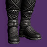 Sage Protector Strides icon1.jpg