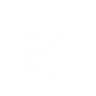 Disruption weapon (shield-piercing) icon1.png