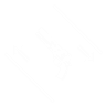 Hand cannon dexterity icon1.png