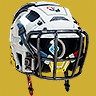 Gridiron shell icon1.jpg