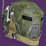 Wildwood helm icon1.jpg