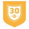 30th Anniversary icon.png