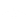 Arrow scavenger icon1.png