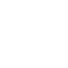 Cormorant Reversal icon1.png