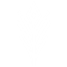 Cursed Thrall icon1.png