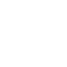 Shatter shot icon1.png
