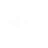 Pulse rifle scavenger icon1.png