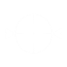 Precision weapon targeting icon1.png