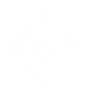Fusion rifle loader icon1.png