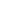 Explosive payload (enhanced) icon1.png
