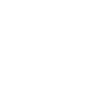 All-star icon1.png