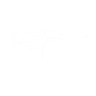 Scout rifle scavenger icon1.png