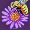 Pollinator projection icon1.jpg