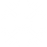 Butterfly (Enhanced) icon1.png
