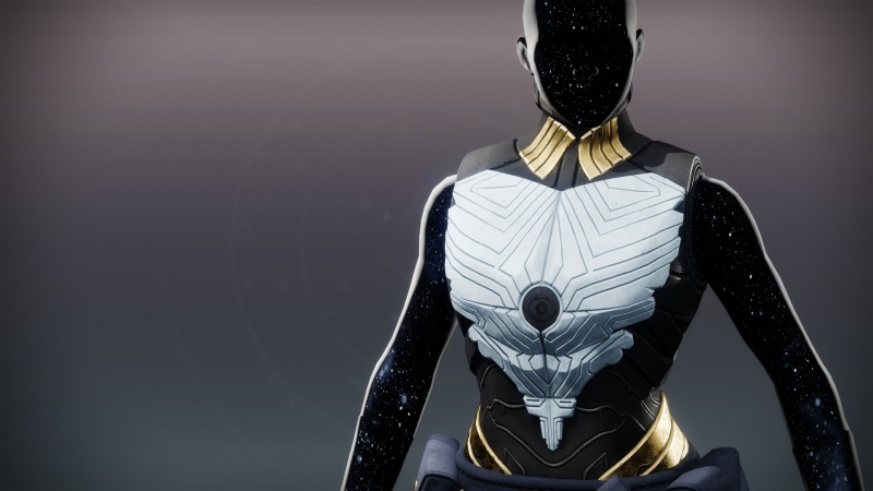 File:Cruel Electrum Vest1.jpg
