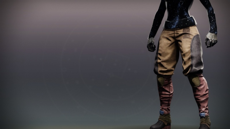 File:Thriving Survivor Strides1.jpg