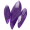 Legendary shards icon1.png