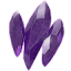 Legendary shards icon1.png