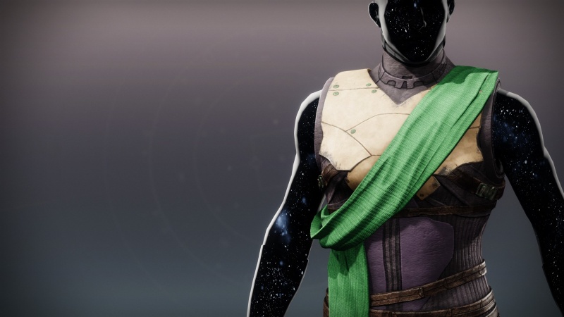 File:AION Adapter Vest1.jpg
