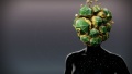 Thumbnail for version as of 13:12, 25 September 2025