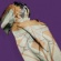 Warmind's avatar cloak icon1.jpg