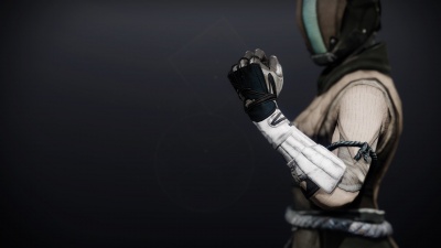 Praefectus Gloves1.jpg