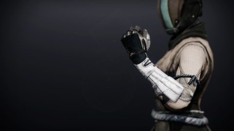 Praefectus Warlock Armor Set - Destiny 2 Wiki