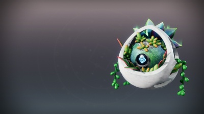 Planter Shell1.jpg