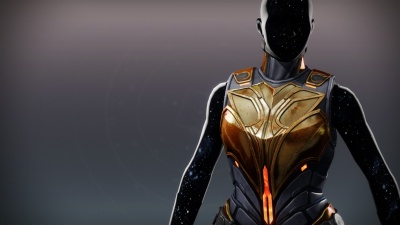 Valkyrie's Descent Vest1.jpg