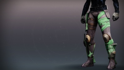 AION Adapter Strides1.jpg