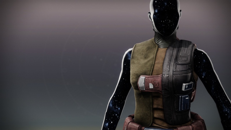 File:Thriving Survivor Vest1.jpg