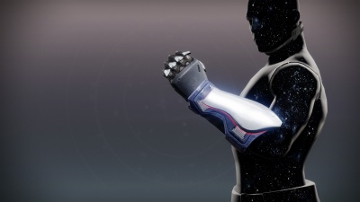 Last Discipline Gloves1.jpg