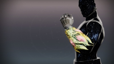 Multicell Gloves1.jpg