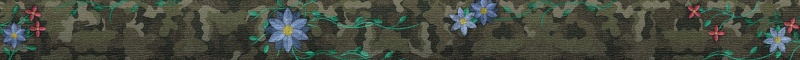 File:First of the New2.jpg
