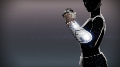 Per Audacia Gloves1.jpg