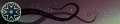 Thumbnail for version as of 13:12, 25 September 2025