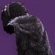 Lightkin cloak icon1.jpg