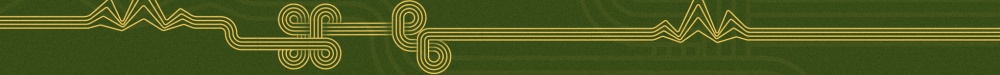 Drop the Needle2.jpg