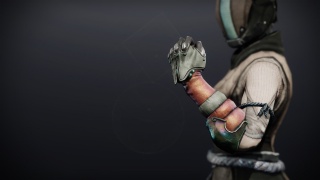 Ketchkiller's Gloves1.jpg